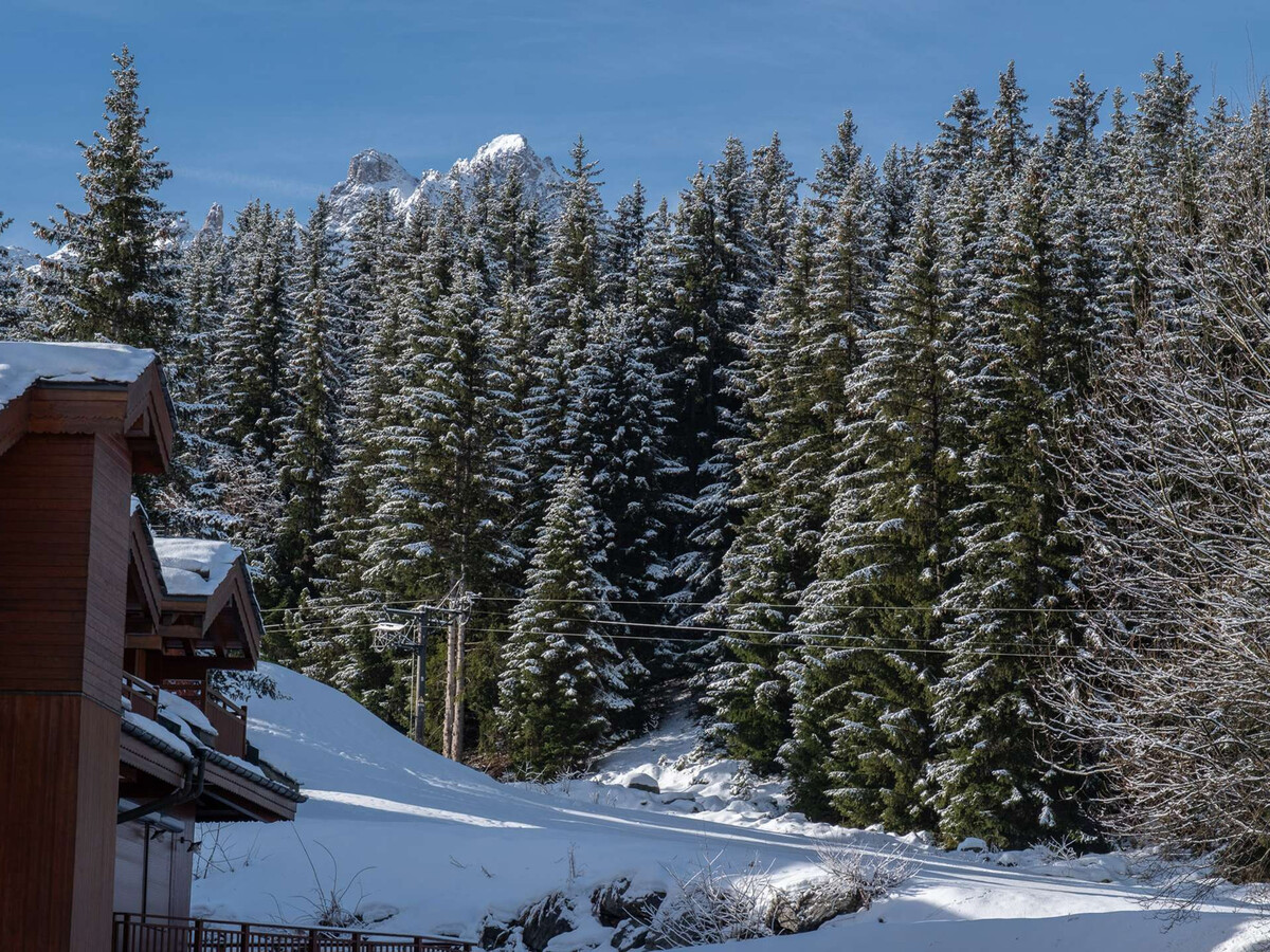 Appartement 4 pers Courchevel 1850, skis aux pieds - Photo 11