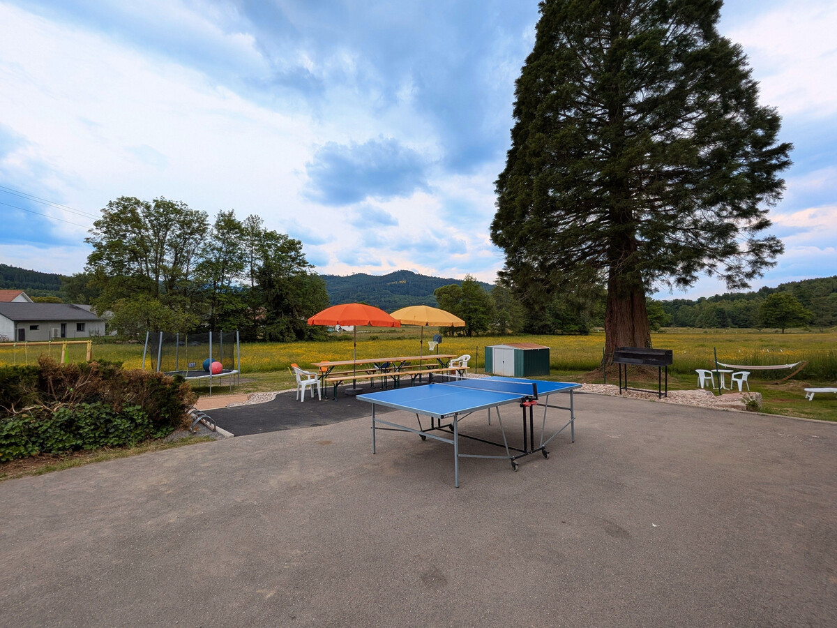 Gîte 12 pers. avec spa et piscine chauffée à Fraize - Photo 22