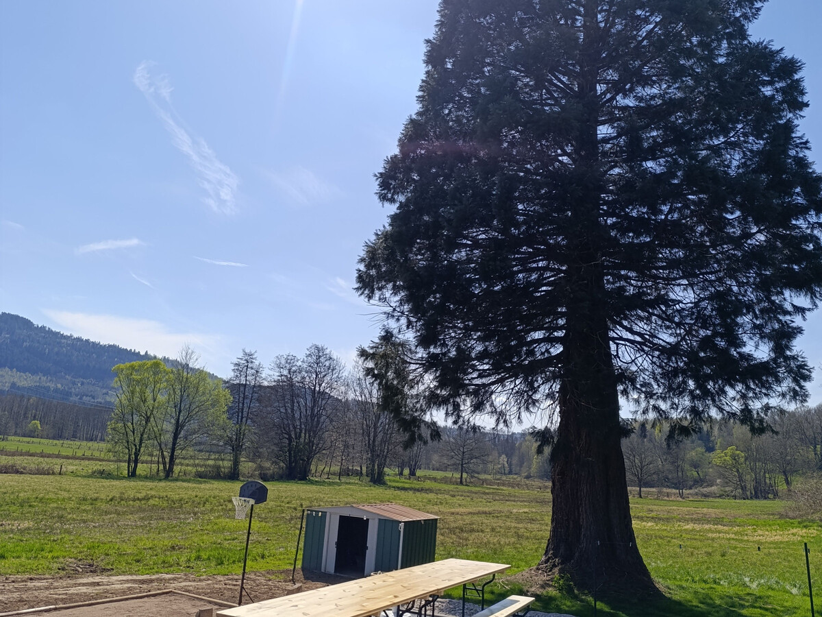 Gîte 12 pers. avec spa et piscine chauffée à Fraize - Photo 27
