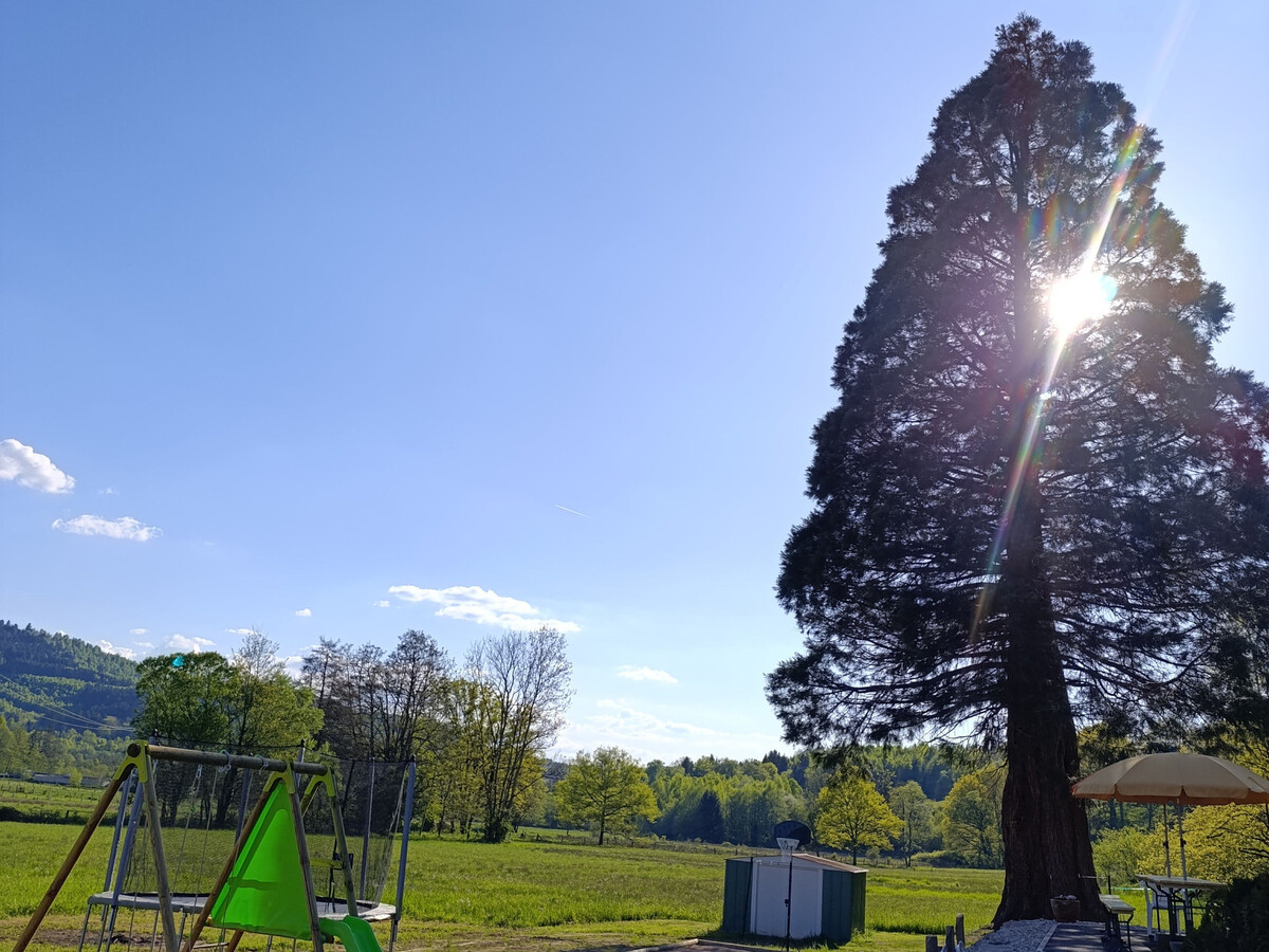 Gîte 12 pers. avec spa et piscine chauffée à Fraize - Photo 29