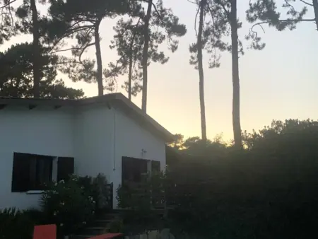 Villa 135 m² avec piscine chauffée à Piraillan, Le Cap Ferret : photo 20