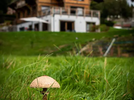 Gîte 10 pers. avec sauna à Xonrupt-Longemer : photo 36