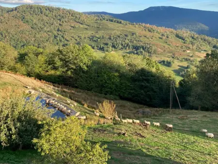 Appartement à la ferme vosgienne, vue sur les Ballons : photo 13
