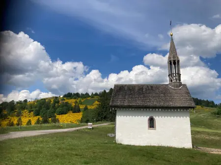 Appartement à la ferme vosgienne, vue sur les Ballons : photo 19