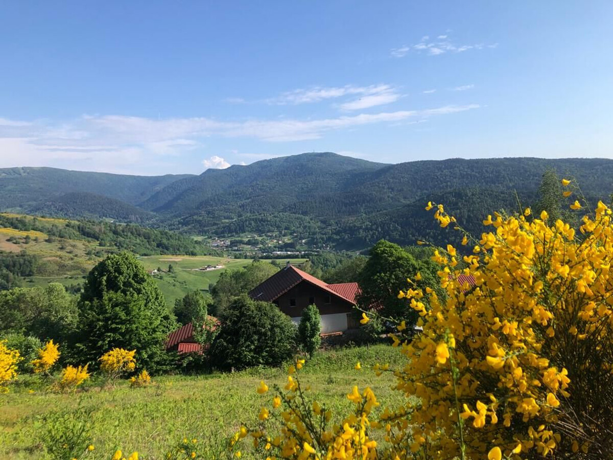 Gîte rural Vosges 6 pers. dans ancienne grange de ferme - Photo 13