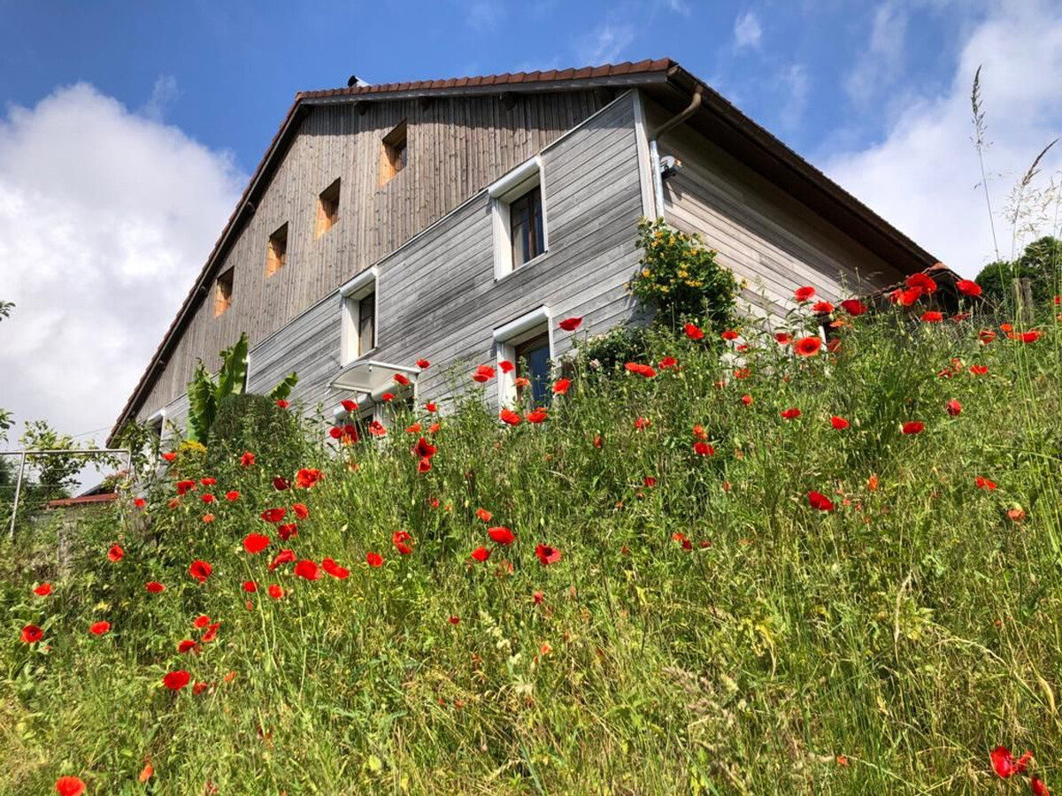 Gîte rural Vosges 6 pers. dans ancienne grange de ferme - Photo 14