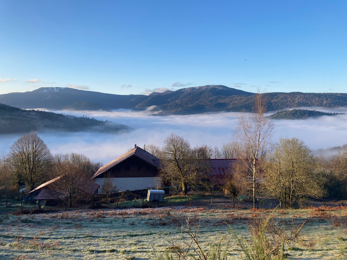Gîte rural Vosges 6 pers. dans ancienne grange de ferme - Photo 15