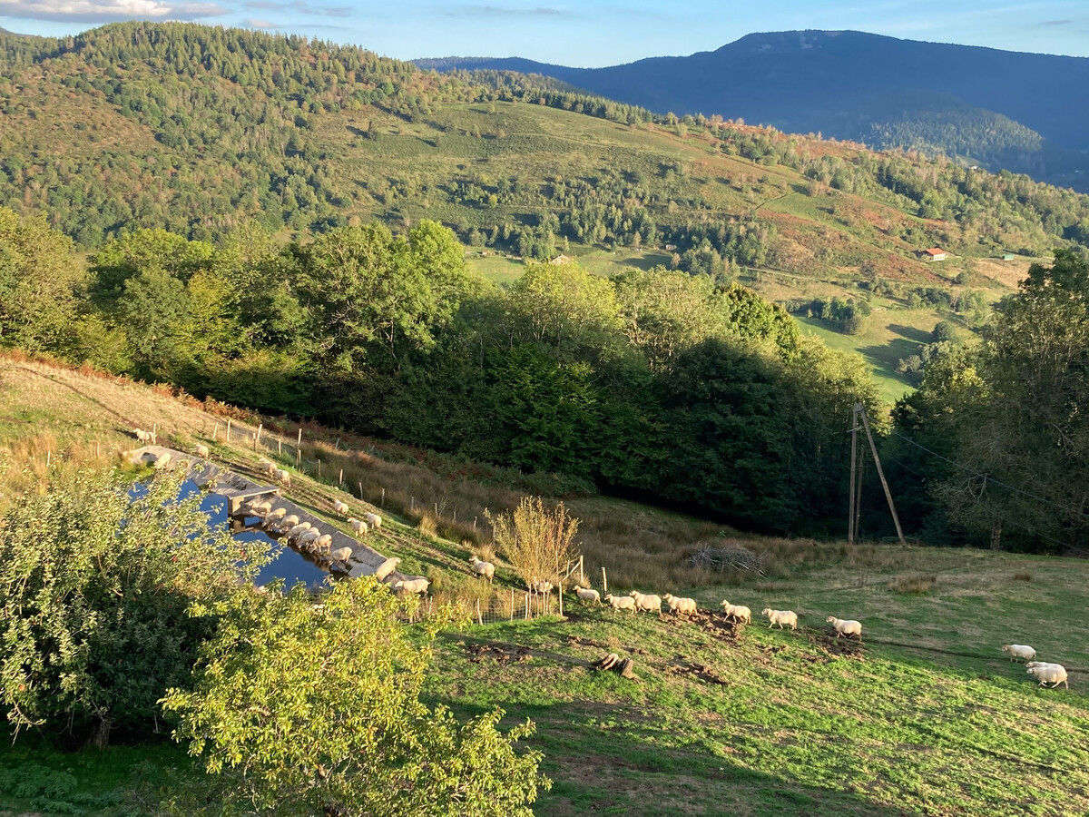 Gîte rural Vosges 6 pers. dans ancienne grange de ferme - Photo 16