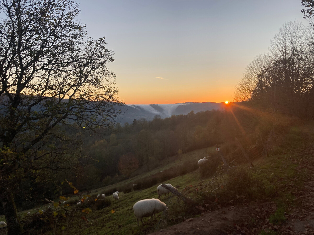 Gîte rural Vosges 6 pers. dans ancienne grange de ferme - Photo 17