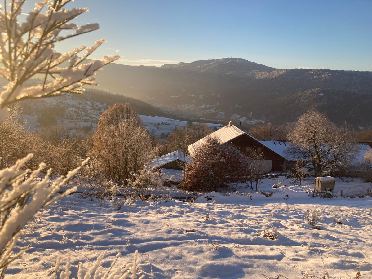 Gîte rural Vosges 6 pers. dans ancienne grange de ferme - Photo 19