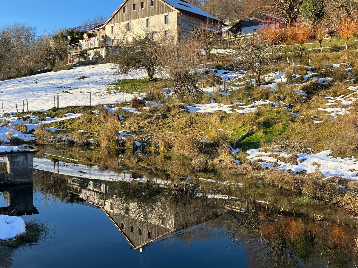Gîte rural Vosges 6 pers. dans ancienne grange de ferme - Photo 22