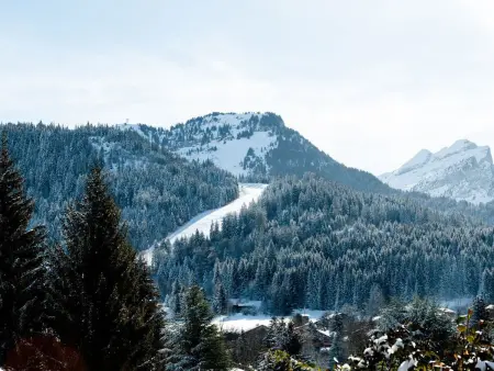 Studio cabine 26m² aux Carroz, 50m du ski bus gratuit : photo 8