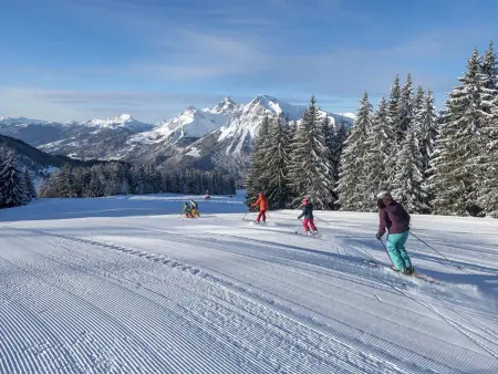 Studio cabine 26m² aux Carroz, 50m du ski bus gratuit : photo 9
