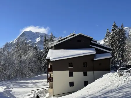 Studio cabine 26m² aux Carroz, 50m du ski bus gratuit : photo 14