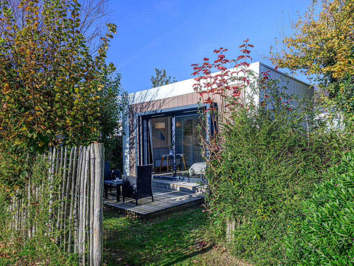 Studio L'ibis Noir - Bungalow 20m² avec terrasse à Carnac - Photo 5