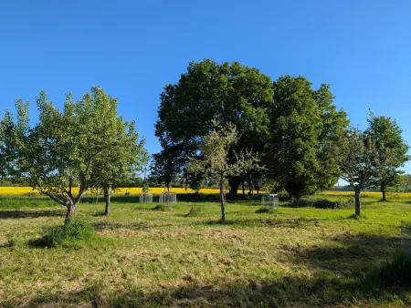 Gîte du Pozoir : 2 maisons modulables 4-10 pers, forêt et Loire : photo 35
