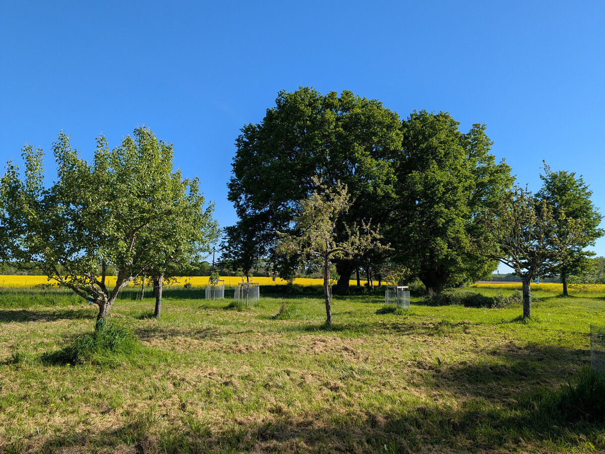 Le Petit Pozoir : gîte 4 pers en forêt de 150 ha - Photo 17