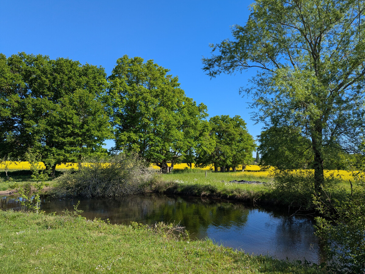 Le Petit Pozoir : gîte 4 pers en forêt de 150 ha - Photo 18