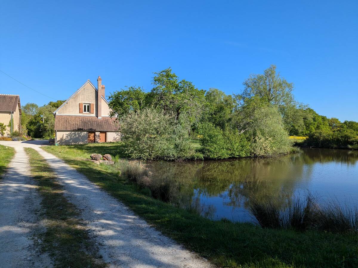 Le Petit Pozoir : gîte 4 pers en forêt de 150 ha - Photo 19