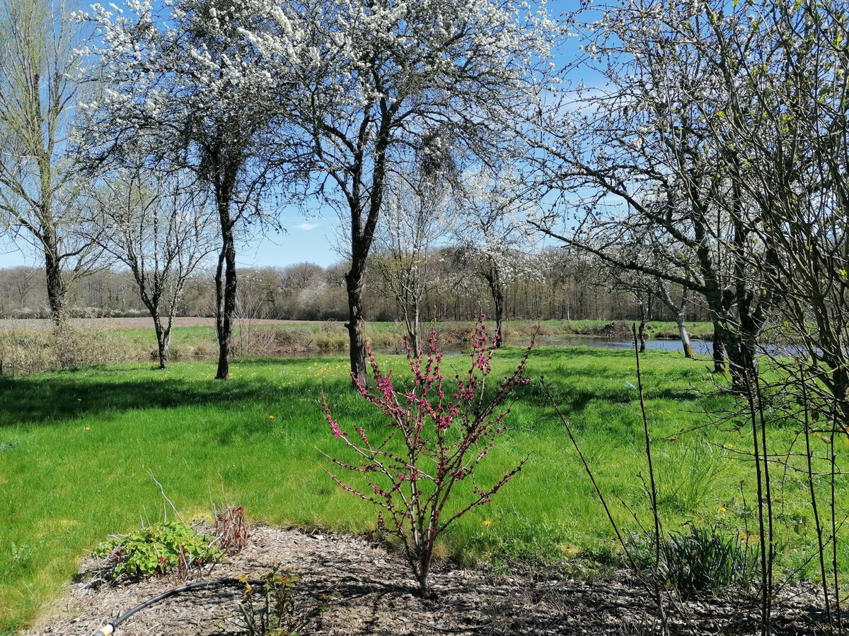 Le Petit Pozoir : gîte 4 pers en forêt de 150 ha - Photo 22
