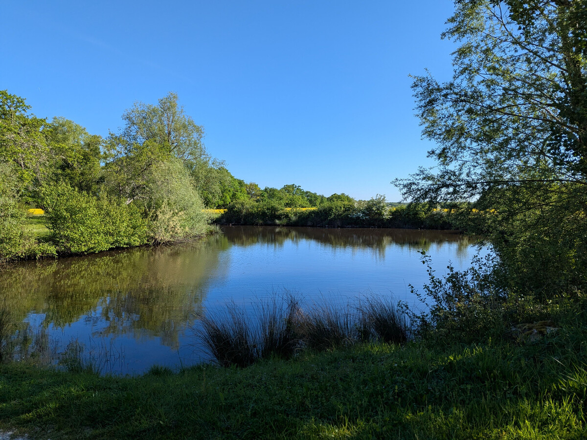 Le Petit Pozoir : gîte 4 pers en forêt de 150 ha - Photo 23