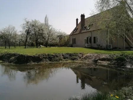 Gîte du Pozoir : 6 personnes en forêt de 150 ha : photo 21