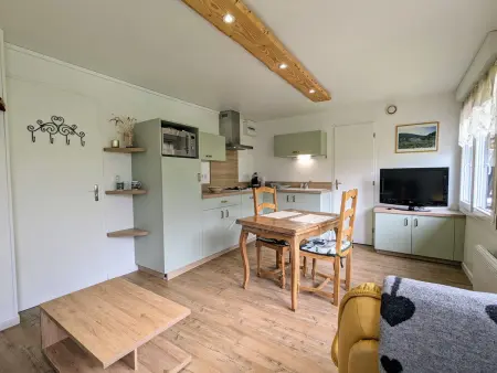 Location appartement à La Bresse, Gîte montagne La Bresse, balcon, Wi-Fi, parking proche ski