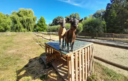 Maison 5 personnes à Blessy - Photo 28
