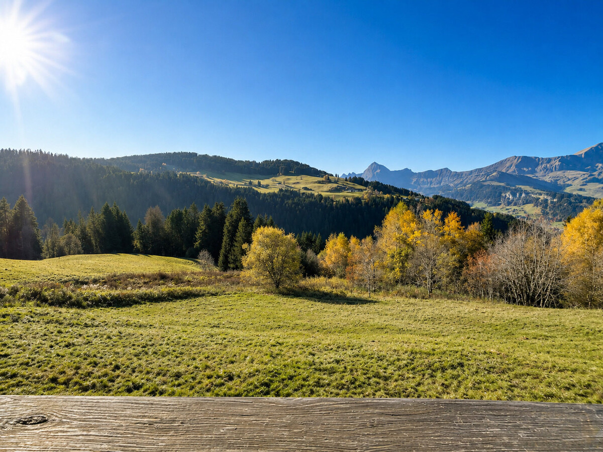 Mazot Savoyard 65m² – Vue Mont Charvin, WiFi - Photo 14