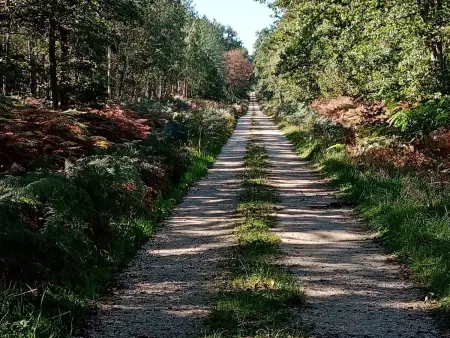 Gîte 6 pers. au calme avec jardin clos près d'Orléans : photo 31