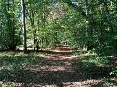 Gîte 6 pers. au calme avec jardin clos près d'Orléans : photo 32