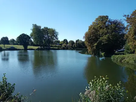 Gîte 6 pers. au calme avec jardin clos près d'Orléans : photo 33