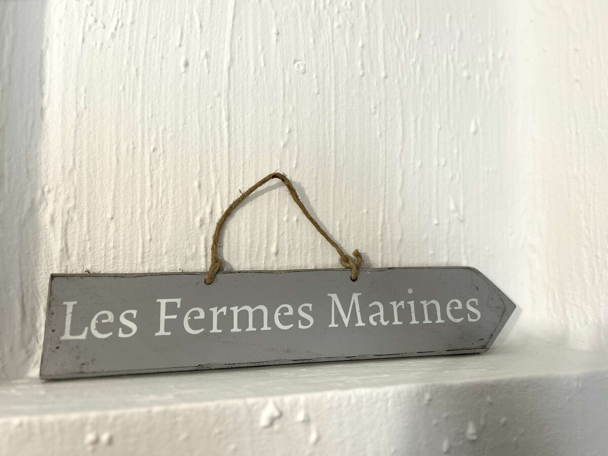 Maison 4 pers. avec piscine chauffée à Bretignolles-sur-Mer - Photo 12