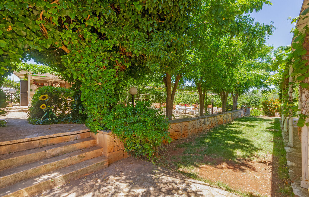 Casal del Borgo 3 – Maison avec piscine à Ostuni - Photo 5