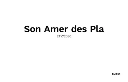 Son Amer des Pla – Maison 9 personnes, piscine à Algaida : photo 49