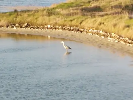 Charme de la Grande Bosse, Maison 6 personnes à Ile de Noirmoutier - Photo 30