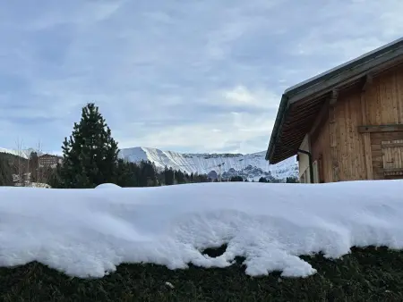 Appartement 3 pièces jardin à 10 min de Megève : photo 15