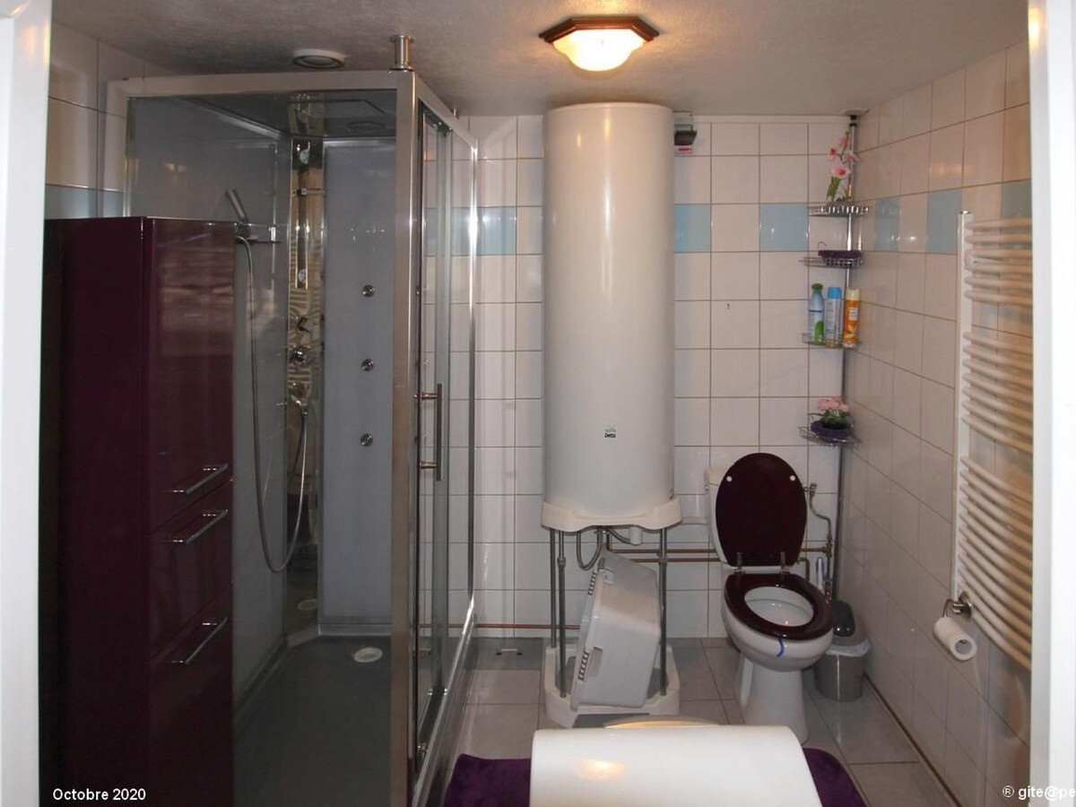 Gîte 2 chambres vue Vosges à Saint-Bresson, 11 km Luxeuil - Photo 19