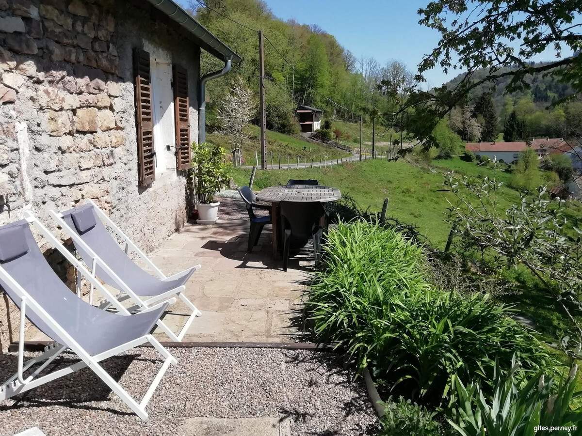 Gîte 2 chambres vue Vosges à Saint-Bresson, 11 km Luxeuil - Photo 24