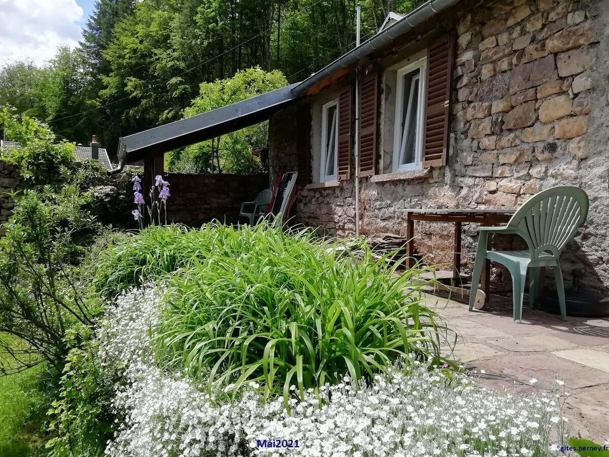 Gîte 2 chambres vue Vosges à Saint-Bresson, 11 km Luxeuil - Photo 25