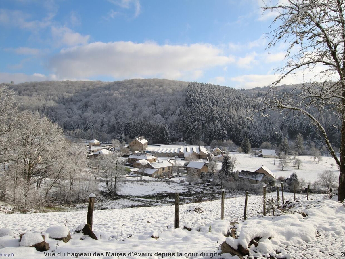 Gîte 2 chambres vue Vosges à Saint-Bresson, 11 km Luxeuil - Photo 34