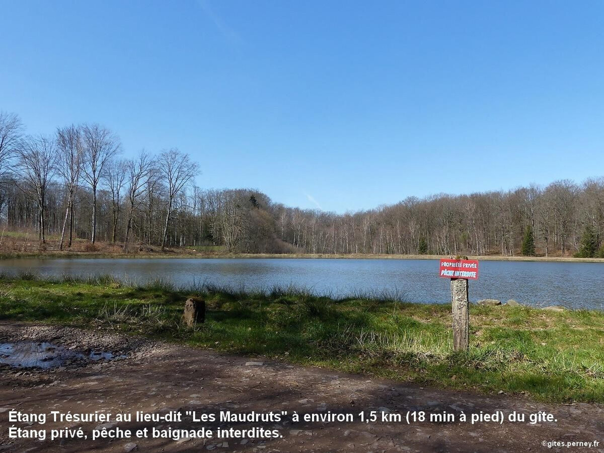 Gîte 2 chambres vue Vosges à Saint-Bresson, 11 km Luxeuil - Photo 36