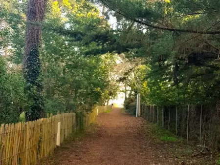 Villa 300 m² sauna, 6 ch. au cœur du Cap Ferret : photo 4