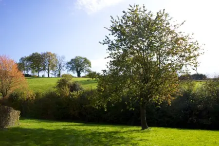 Maison Aux Trois Frontières, 6 pers., forêt à 100 m : photo 29