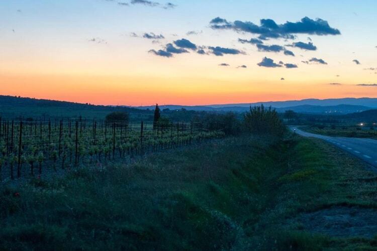 Gîte Affele : pierre et vignes à Montbrun-des-Corbières - Photo 39