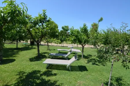 Venturi Olive, Appartement à Gatteo Mare proche Plage - Photo 9