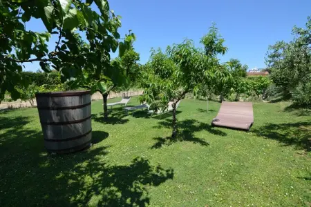 Venturi Olive, Appartement à Gatteo Mare proche Plage - Photo 23