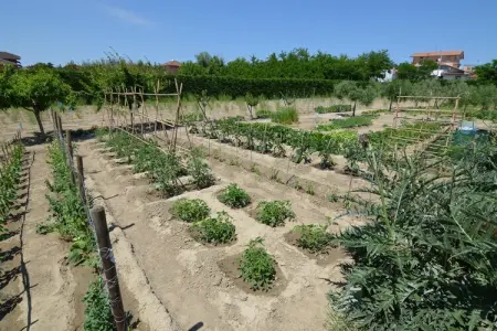 Venturi Olive, Appartement à Gatteo Mare proche Plage - Photo 26