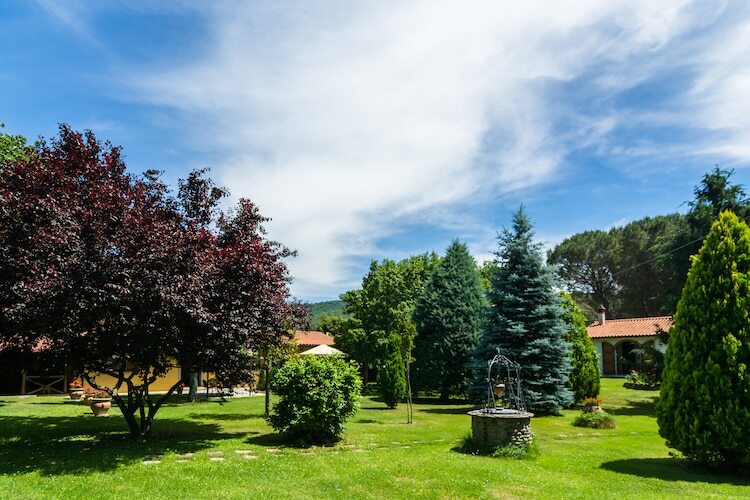Il giardino - Gîte Toscane 6 pers. piscine - Photo 19