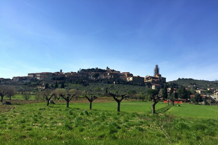 Il giardino - Gîte Toscane 6 pers. piscine - Photo 26